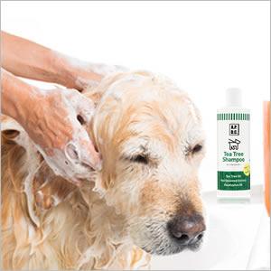 APDC ティーツリーシャンプー 5L 送料無料 犬用品/ペットグッズ/ペット用品