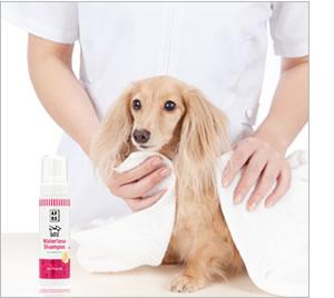 APDC ウォーターレスシャンプー 詰替用 500ml(A.P.D.C.)(エーピーディーシー) 犬用品/ペットグッズ/ペット用品