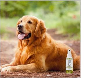 APDC ニーム&シトロネラスプレー 125ml(A.P.D.C.)(エーピーディーシー) 犬用品/ペットグッズ/ペット用品