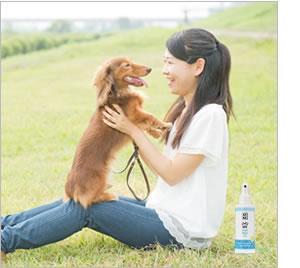 APDC クールミスト 125ml(A.P.D.C.)(エーピーディーシー) 犬用品/ペットグッズ/ペット用品