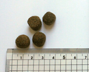 ブラックウッド BLACKWOOD ドッグフード 1000 20kg【送料無料】 成犬・高齢犬用 無添加