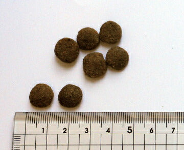 ブラックウッド BLACKWOOD ドッグフード 5000 7.05kg 成犬・高齢犬用 無添加