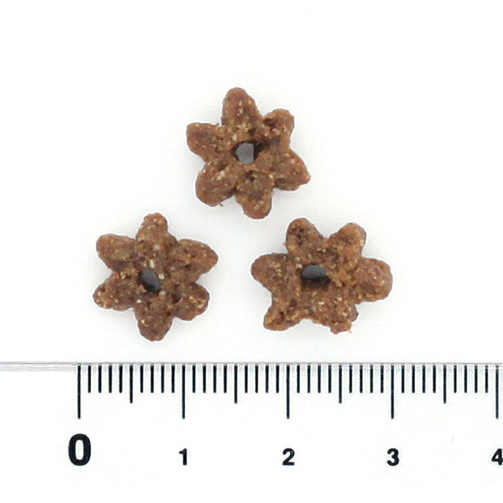 ブラックウッド BLACKWOOD キャットフード アダルトキャット 1.8kg 成猫用 無添加