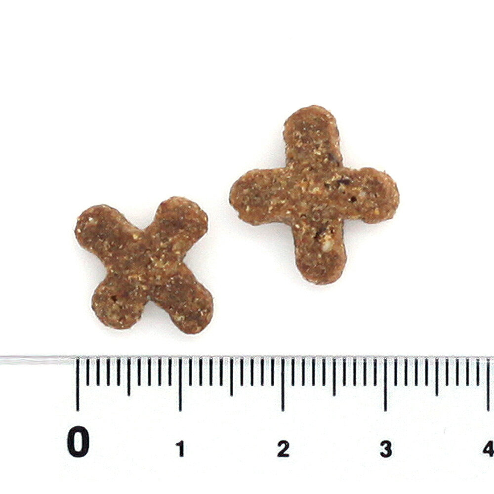 ブラックウッド BLACKWOOD キャットフード インドアキャット 1kg 室内猫 成猫用 無添加