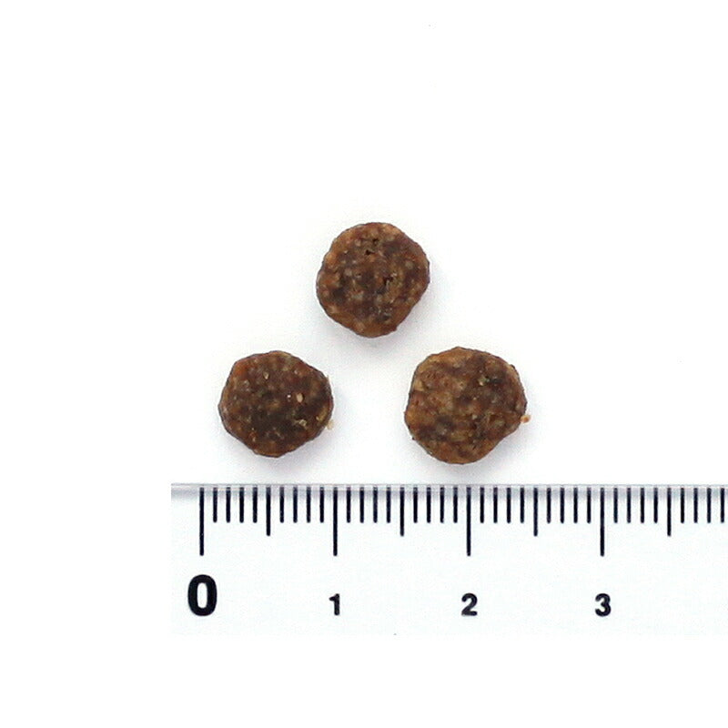 ブラックウッド BLACKWOOD ドッグフード グレインフリー スモールブリード 6.8kg×2個【送料無料】 成犬・高齢犬用 穀物不使用 無添加