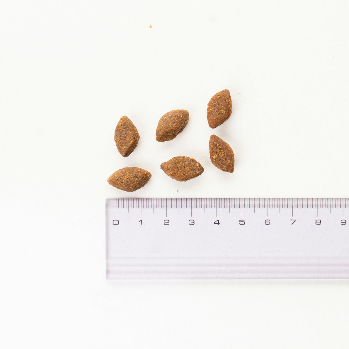 ブリット Brit プレミアムbyネイチャー スポーツ 15kg 成犬用 運動量の多い犬用 無添加