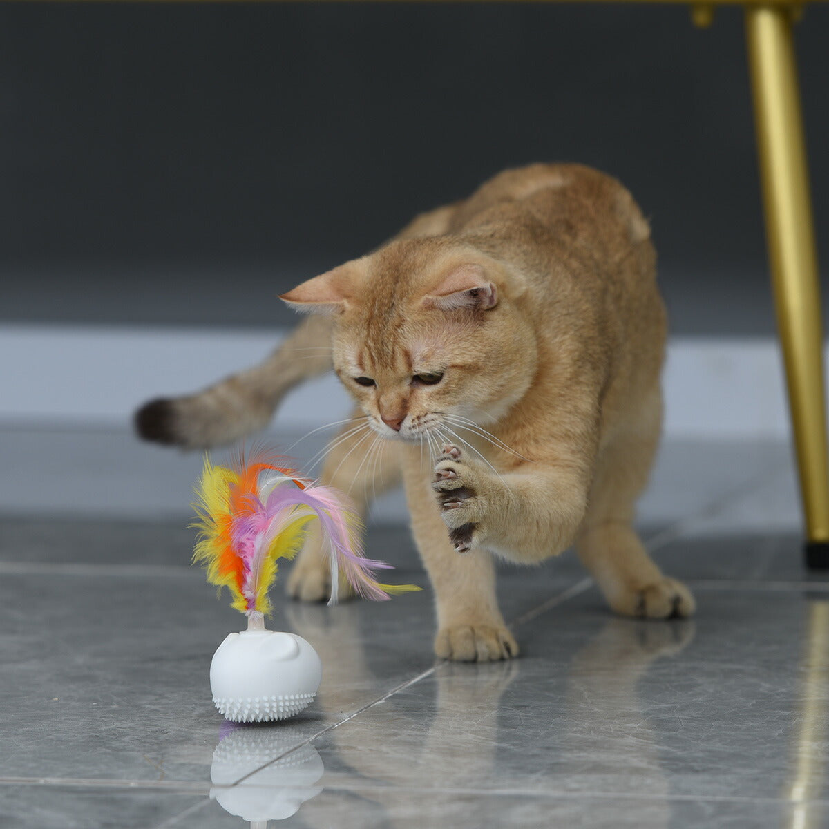 BENTOPAL ベントパル スマートペットトイ SMART PET TOY P06 猫じゃらし 電動 猫用おもちゃ 自動