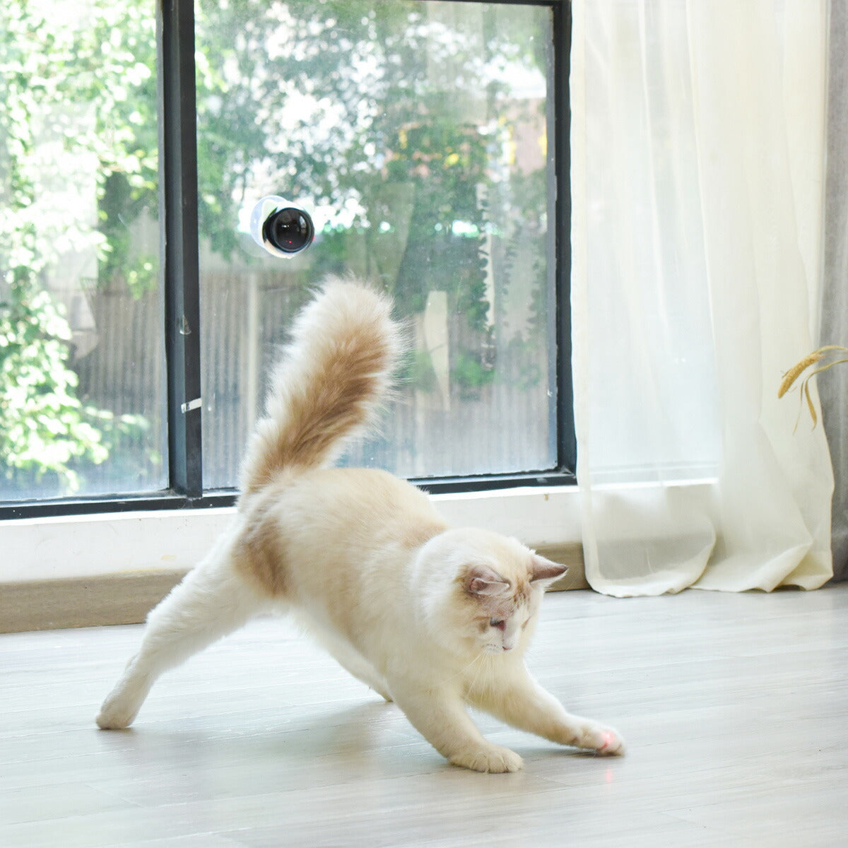 BENTOPAL ベントパル スマートレーザーペットトイ SMART LAZER PET TOY P08【送料無料】 猫じゃらし 電動 猫用おもちゃ 自動