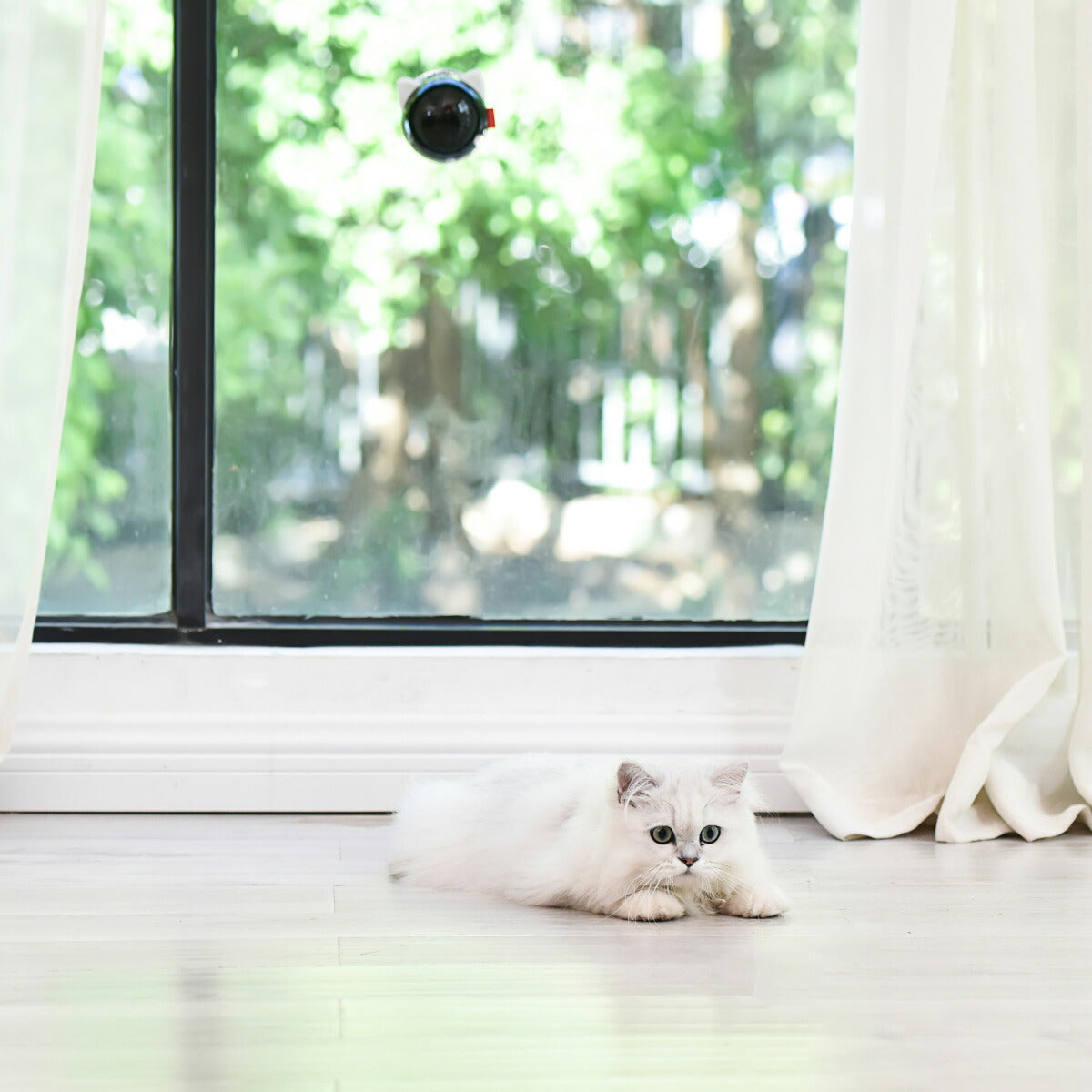 BENTOPAL ベントパル スマートレーザーペットトイ SMART LAZER PET TOY P08【送料無料】 猫じゃらし 電動 猫用おもちゃ 自動