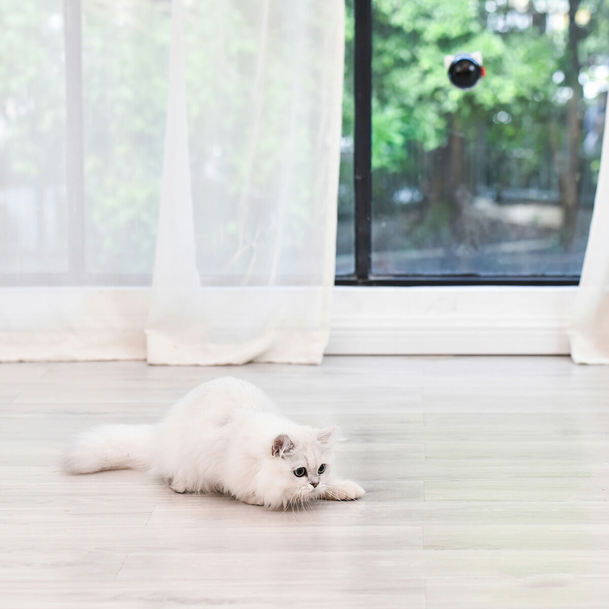 BENTOPAL ベントパル スマートレーザーペットトイ SMART LAZER PET TOY P08【送料無料】 猫じゃらし 電動 猫用おもちゃ 自動