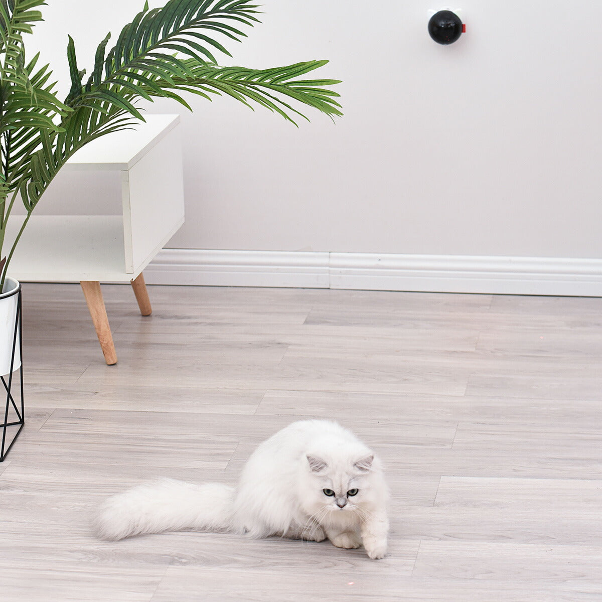BENTOPAL ベントパル スマートレーザーペットトイ SMART LAZER PET TOY P08【送料無料】 猫じゃらし 電動 猫用おもちゃ 自動