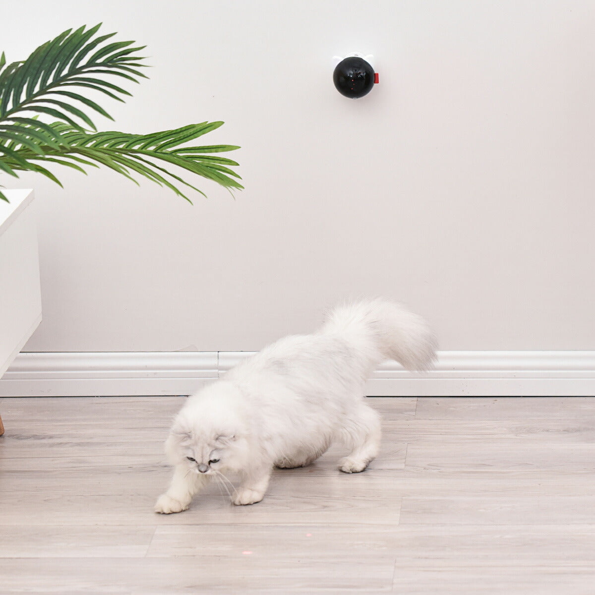 BENTOPAL ベントパル スマートレーザーペットトイ SMART LAZER PET TOY P08【送料無料】 猫じゃらし 電動 猫用おもちゃ 自動