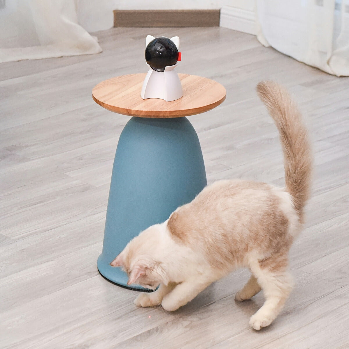 BENTOPAL ベントパル スマートレーザーペットトイ SMART LAZER PET TOY P08【送料無料】 猫じゃらし 電動 猫用おもちゃ 自動