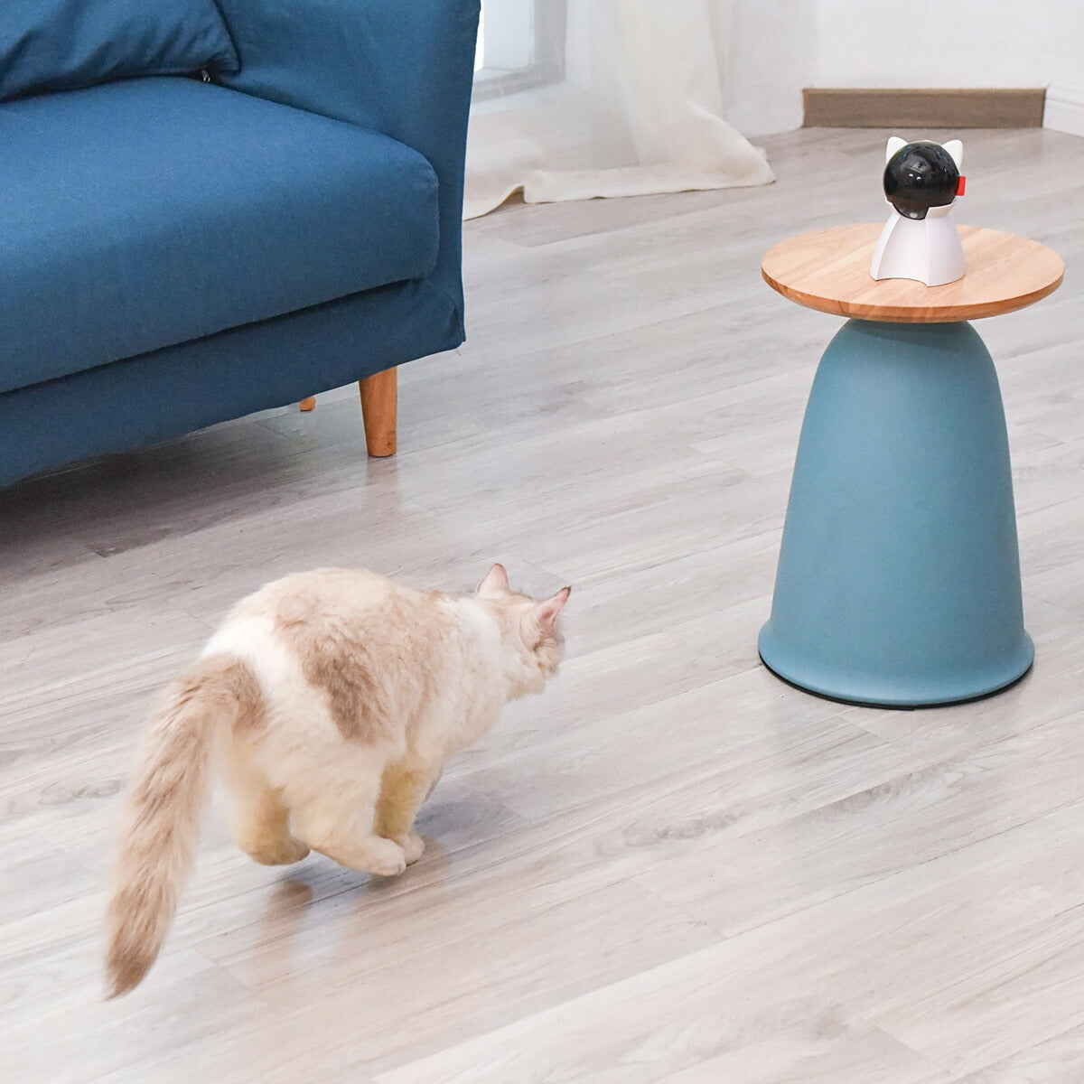 BENTOPAL ベントパル スマートレーザーペットトイ SMART LAZER PET TOY P08【送料無料】 猫じゃらし 電動 猫用おもちゃ 自動