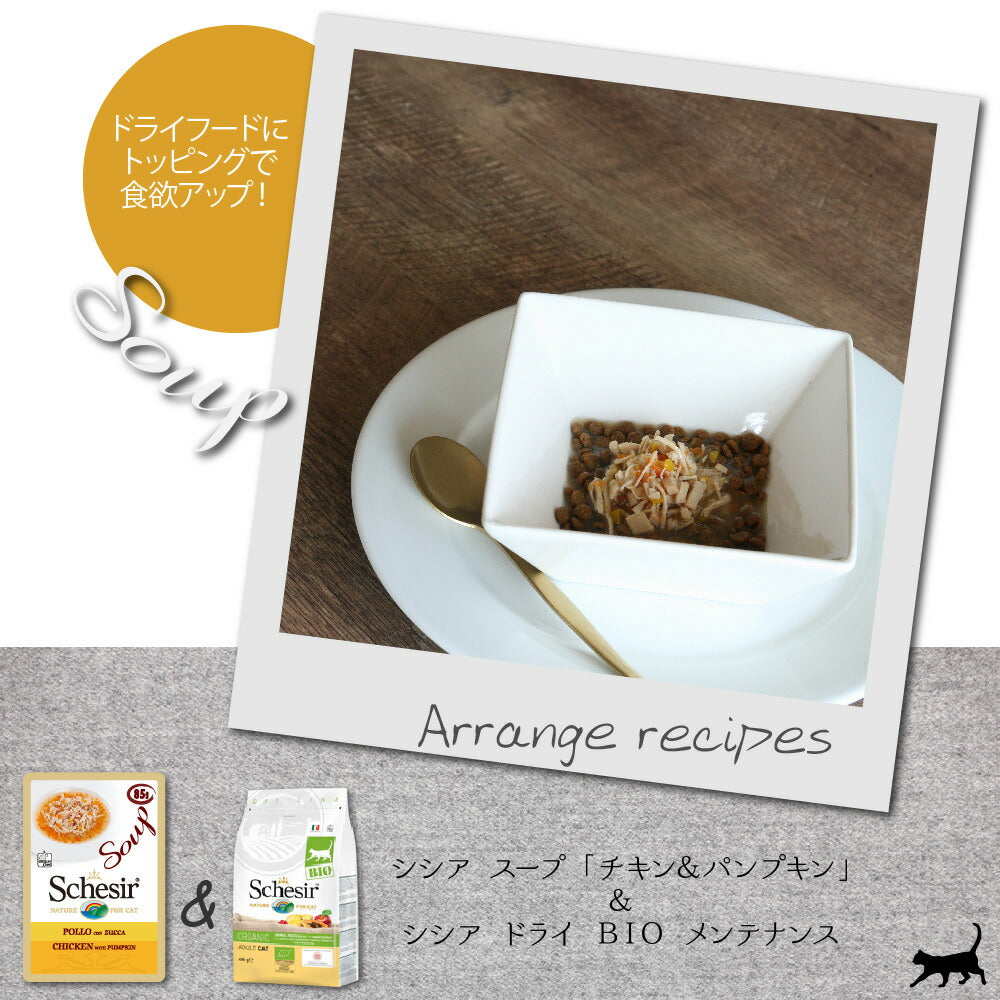 シシア キャットフード スープ グレインフリー チキン&パンプキン 85g(ウェットフード 無添加)