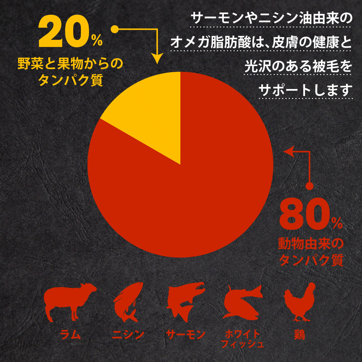 チャーム CHARM ドッグフード ラム&サーモンドッグ 全年齢用 穀物不使用 340g 正規品 無添加 グレインフリー
