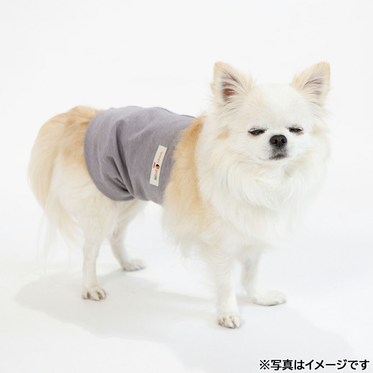 ペタプラス HARAMAKI 犬猫用腹巻 3L グレー【送料無料】 スパオール テラクール 血行 疲労 リラクゼーション 健康サポート 老犬 冷え ヘルニア