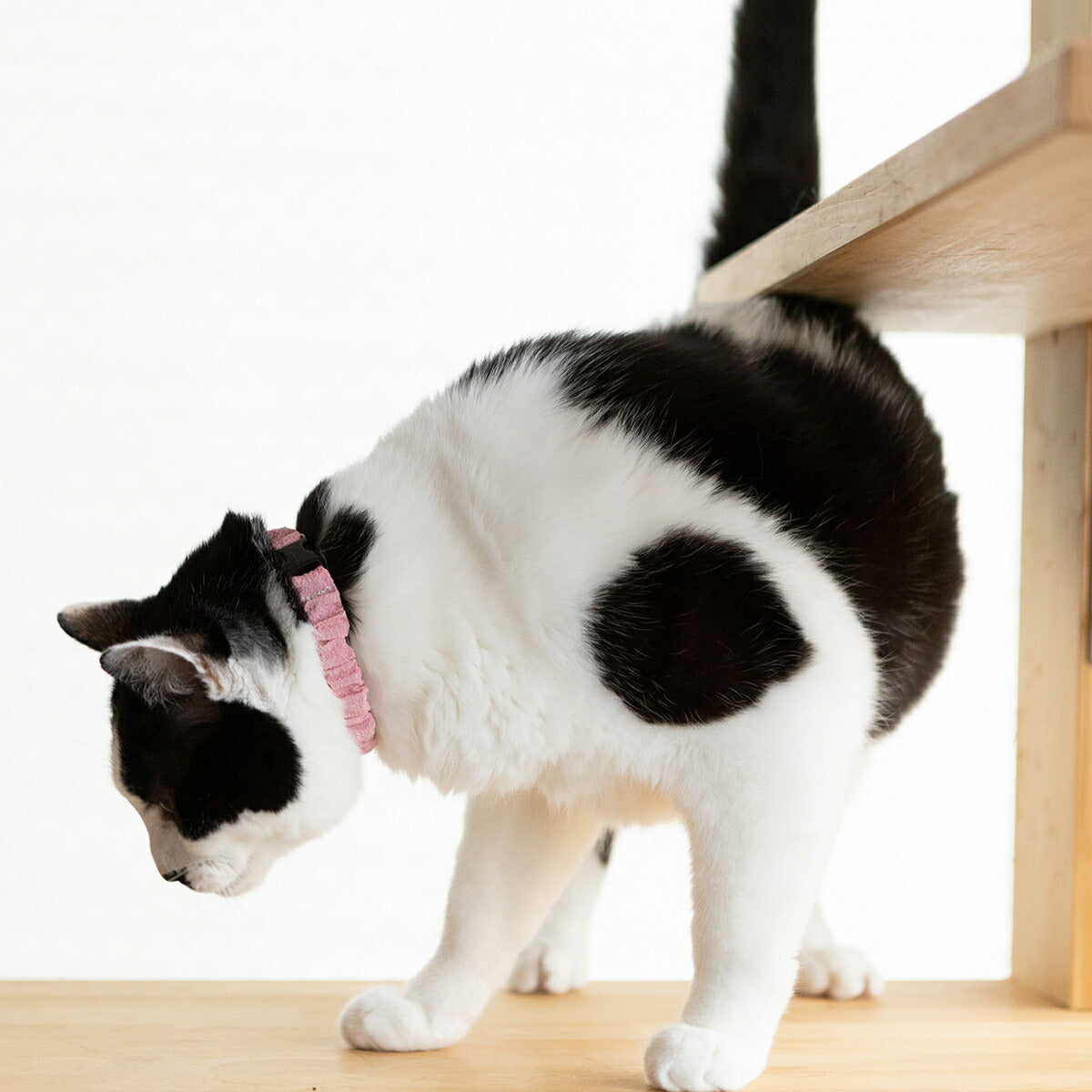 ペタプラス にゃんくるバンド(ちりめん) 猫・小型犬用 ネックバンド L 無地ピンク【送料無料】