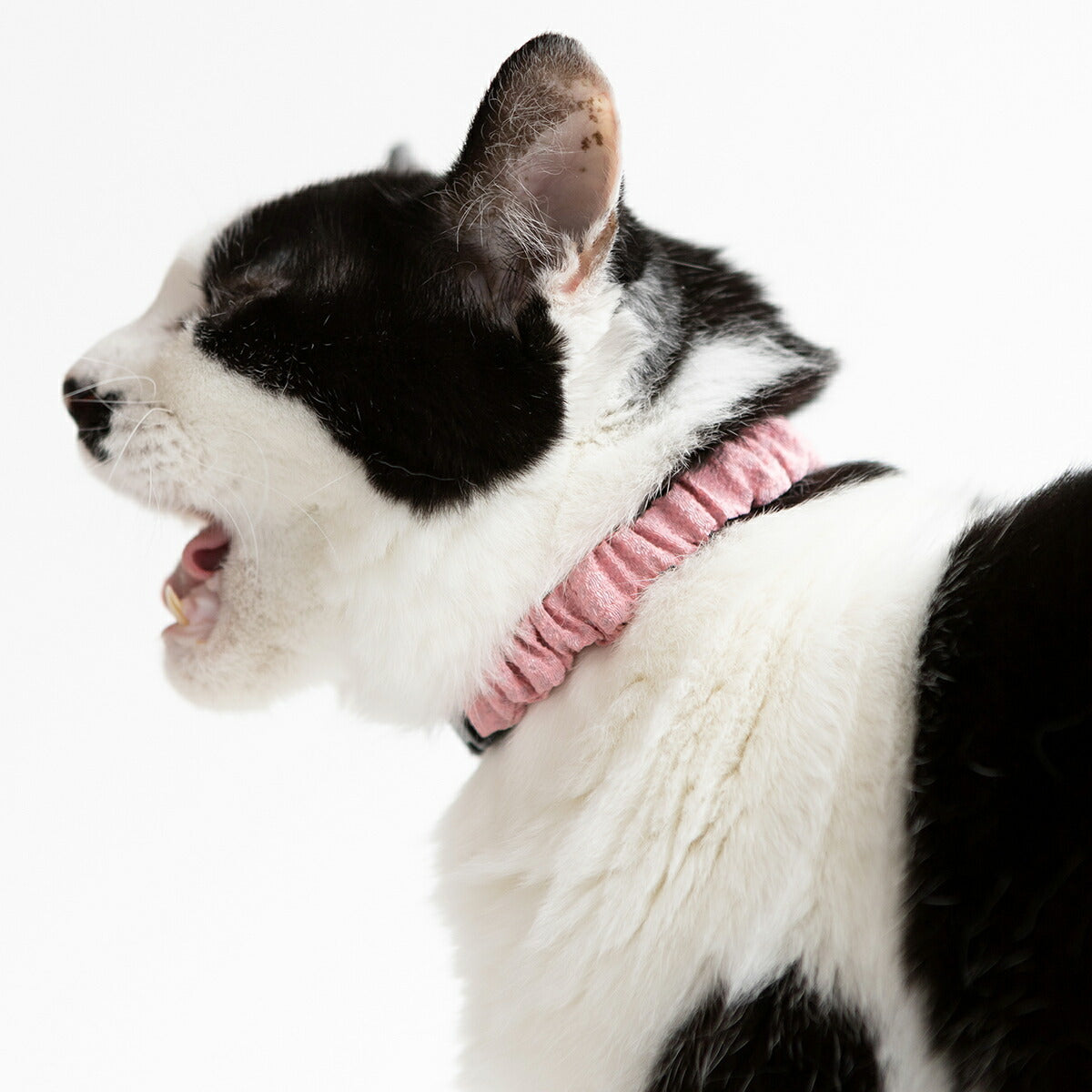 ペタプラス にゃんくるバンド(ちりめん) 猫・小型犬用 ネックバンド L 無地ピンク【送料無料】