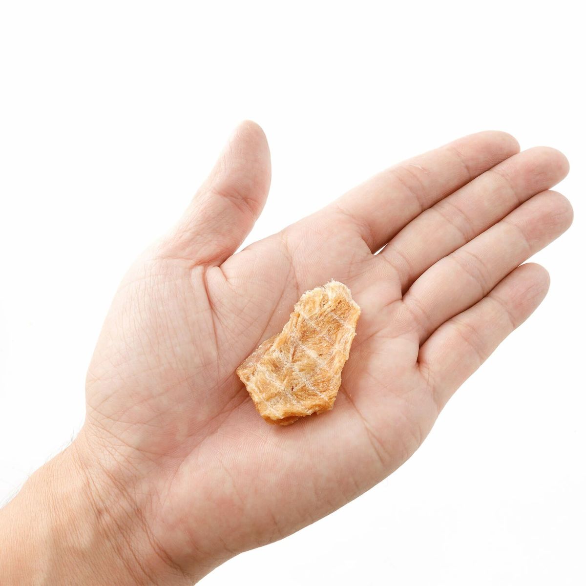 ドットにゃん トリーツ 香りささみジャーキー 70g 無添加 愛猫用おやつ 国産