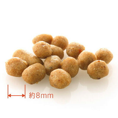 ドットわん 豚ごはん 500g 国産 無添加 犬用品/ペットグッズ/ペット用品
