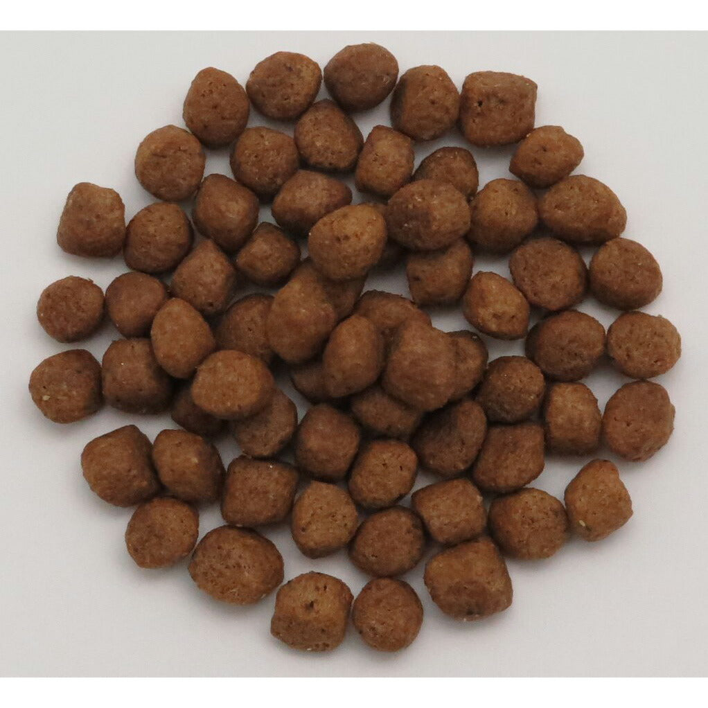 ドクタープロ Dr.PRO チキン&フィッシュ オールステージ 5kg【送料無料】 ドッグフード 国産 犬