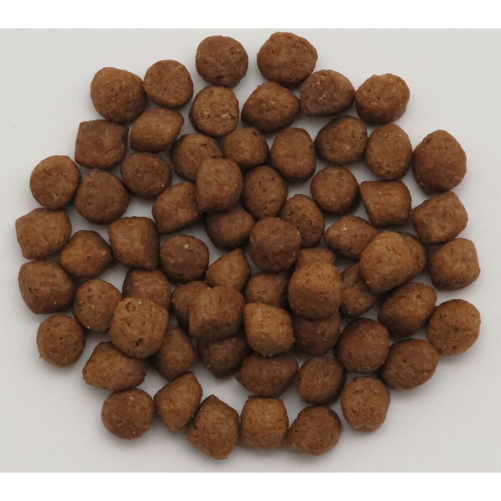 ドクタープロ Dr.PRO ポーク&フィッシュ オールステージ 10kg【送料無料】 ドッグフード 国産 犬