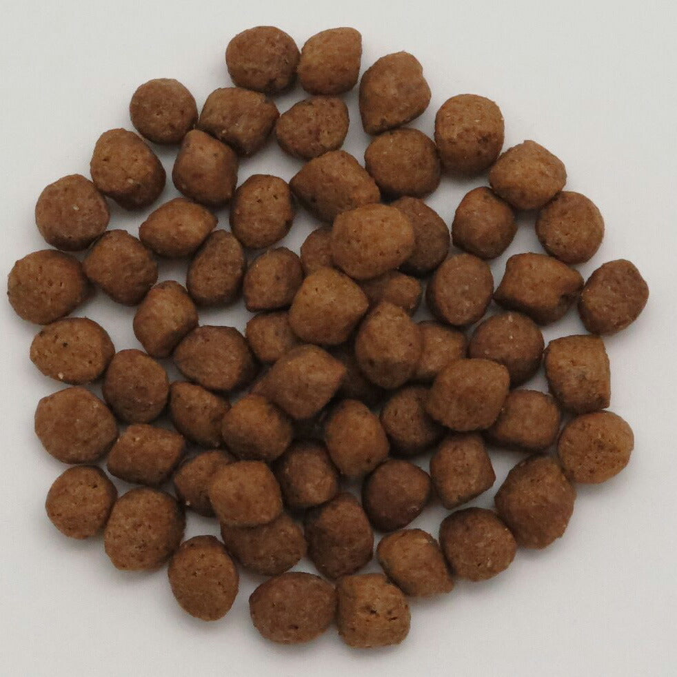 ドクタープロ Dr.PRO スキンケア オールステージ 800g ドッグフード 国産 犬