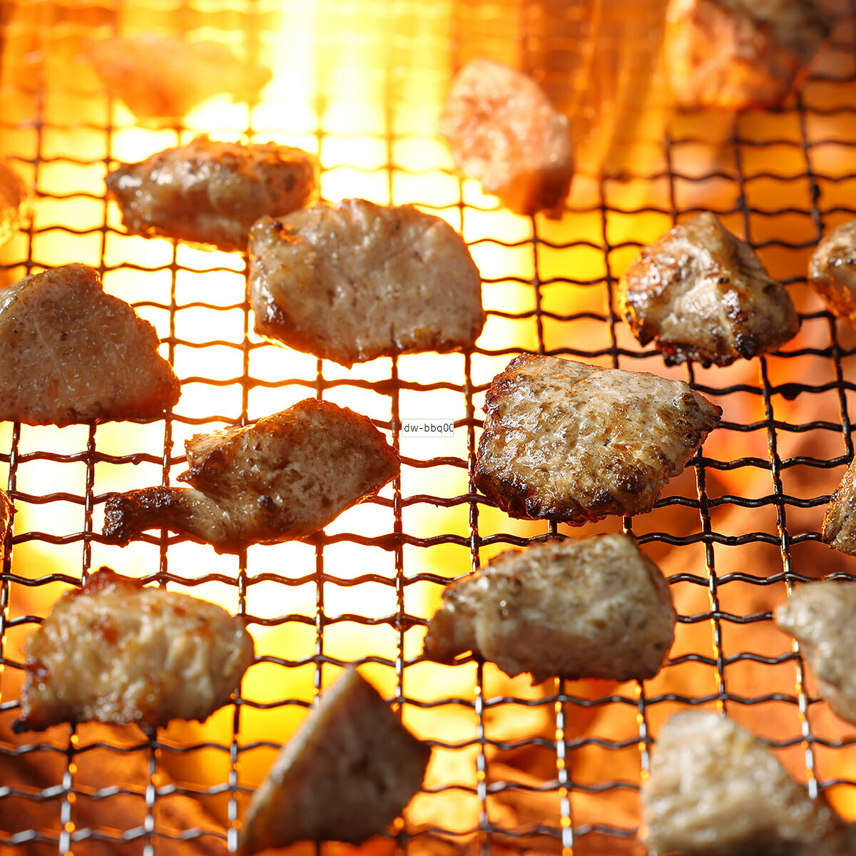 ドットわん 炎の炭火焼き九州若鶏 30g 国産 犬のおやつ レトルト トッピング
