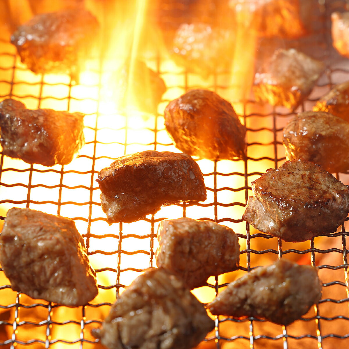 ドットわん 炎の炭火焼き国産豚 25g 国産 犬のおやつ レトルト トッピング