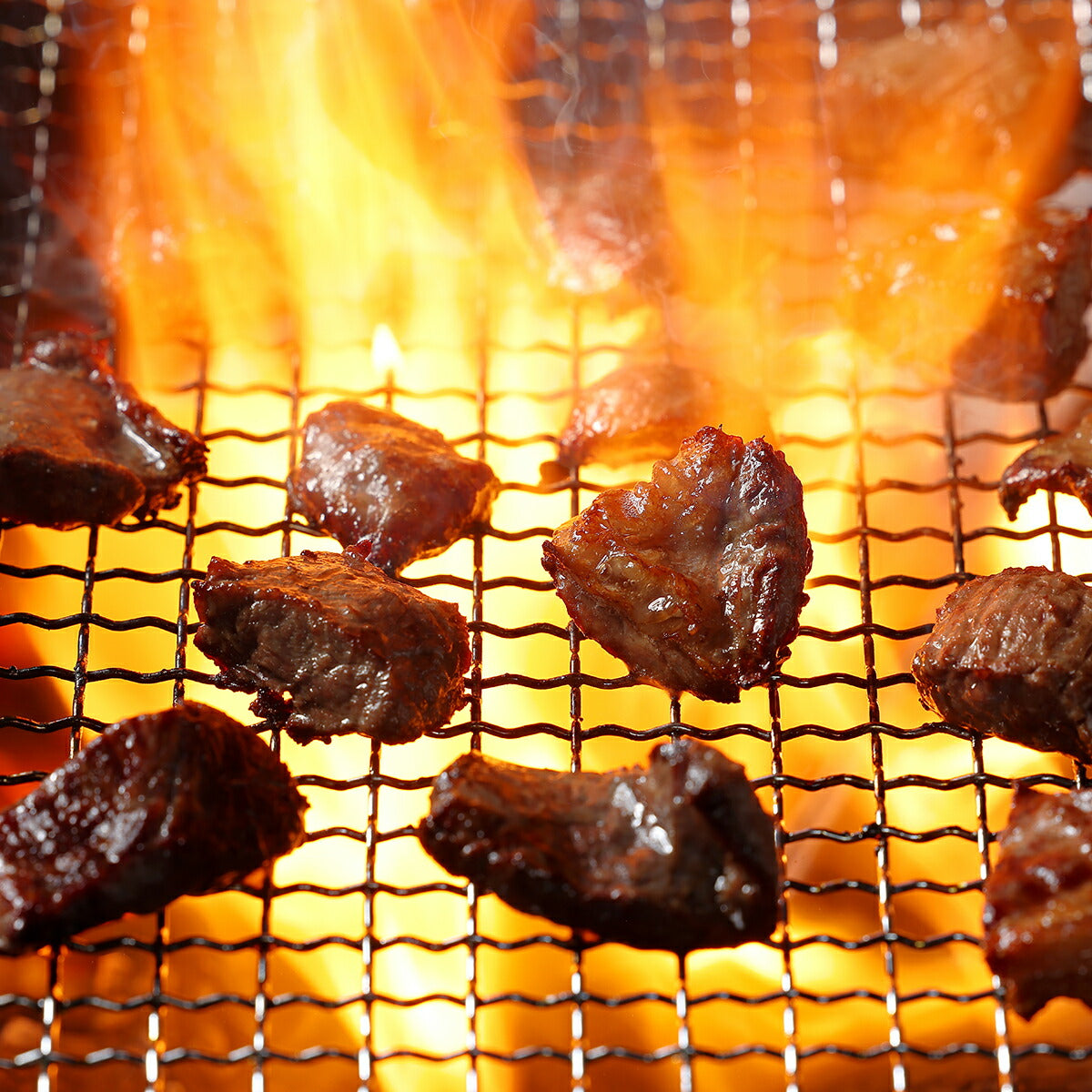 ドットわん 炎の炭火焼き国産牛 25g 国産 犬のおやつ レトルト トッピング