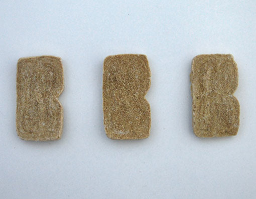 ドットわん トリーツ フルーツクッキー アボカド 55g 無添加 愛犬用おやつ 国産