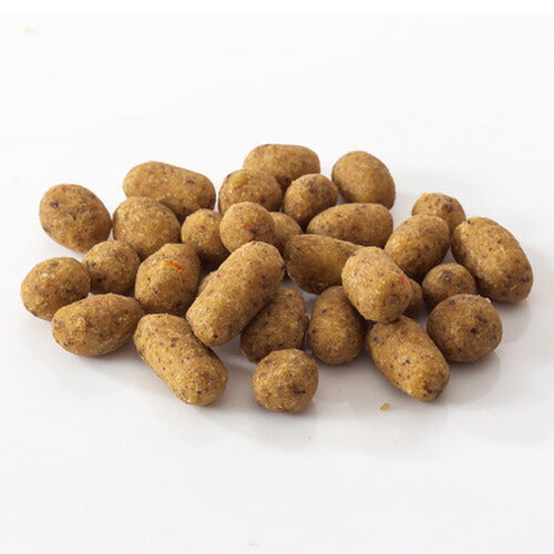 ドットわん 魚ごはん 500g 国産 無添加 犬用品/ペットグッズ/ペット用品