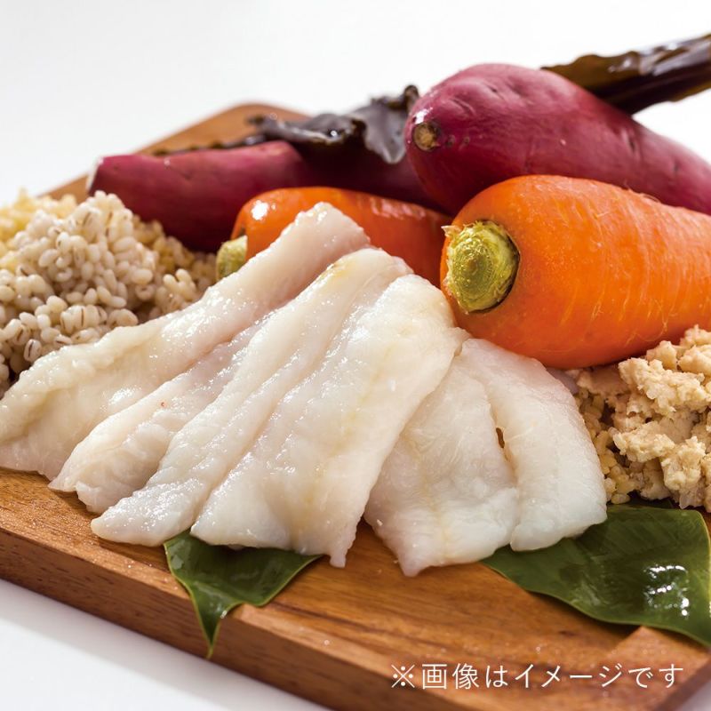 ドットわん 魚ごはん 500g×3個セット【送料無料】ドッグフード 無添加 国産