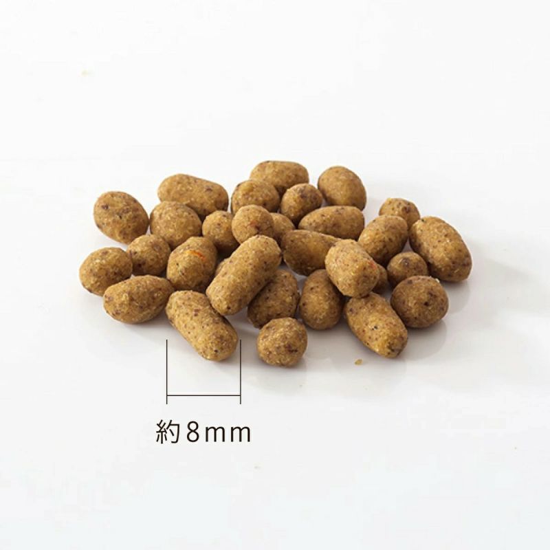 ドットわん 魚ごはん 500g×3個セット【送料無料】ドッグフード 無添加 国産