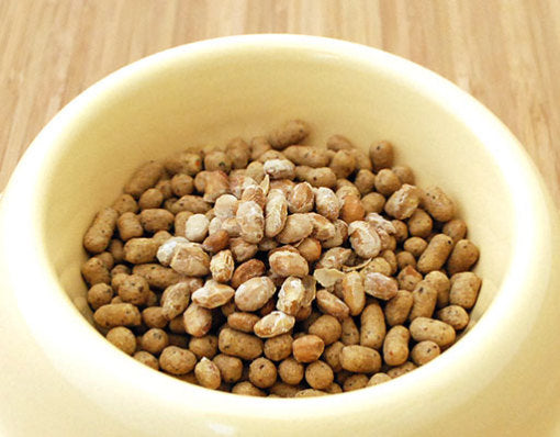 ドットわん フリーズドライ 納豆 120g 犬 おやつ 無添加 国産 トッピング ふりかけ