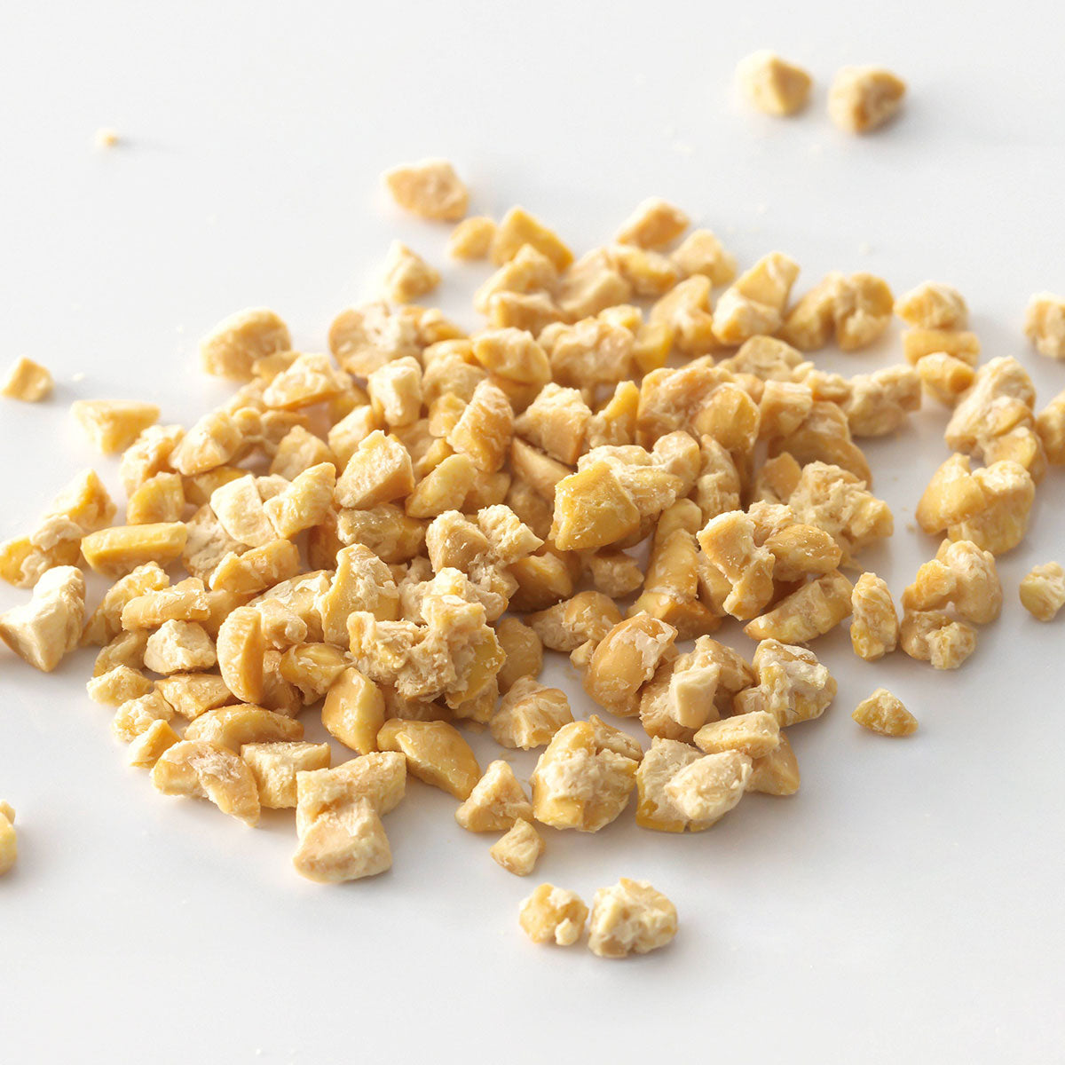 ドットわん フリーズドライ ひきわり納豆 120g 犬 おやつ 無添加 国産 トッピング ふりかけ