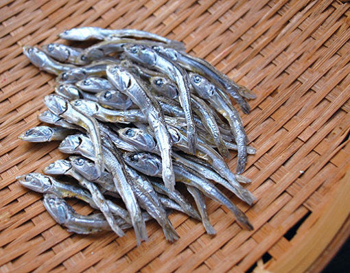 ドットわん 幻の干しイワシ 8g 犬用おやつ 無添加 魚 にぼし