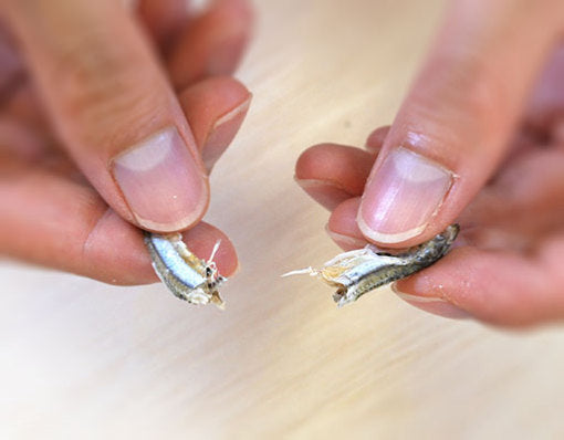 ドットわん 幻の干しイワシ 8g 犬用おやつ 無添加 魚 にぼし