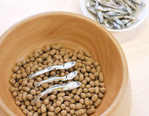 ドットわん 幻の干しイワシ 8g 犬用おやつ 無添加 魚 にぼし