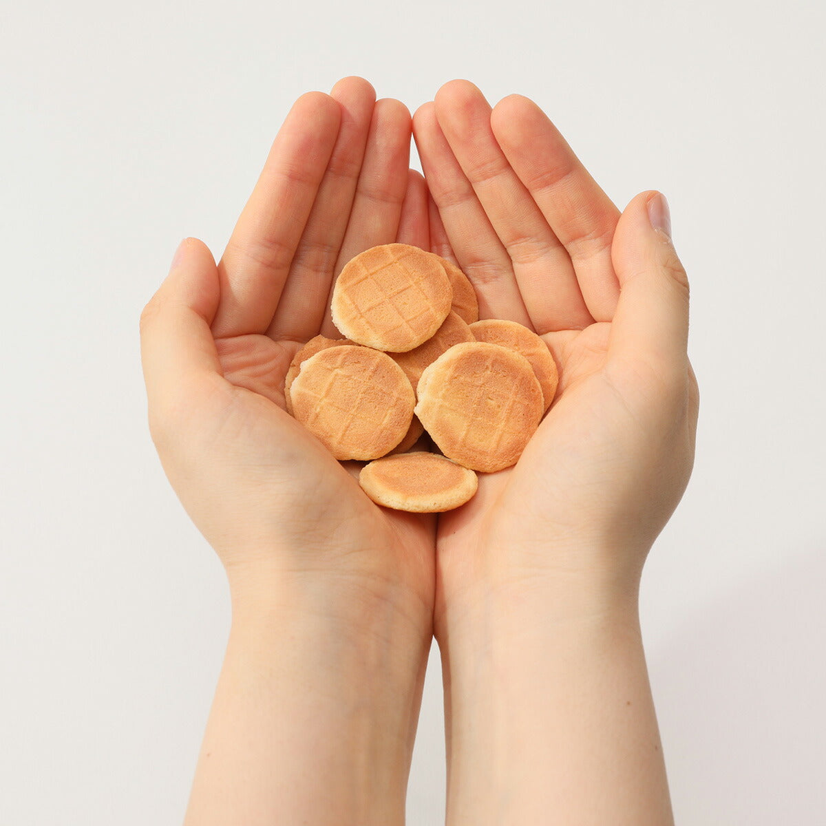 ドットわん 平飼いたまごせんべい 20g 犬用おやつ 無添加