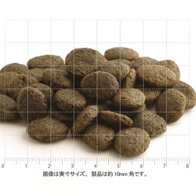 フィッシュ4ドッグ FISH 4 DOGS ドッグフード ファイネスト サーモン 大粒 400g 無添加 ドッグフード 成犬用 グレインフリー 穀物不使用 魚