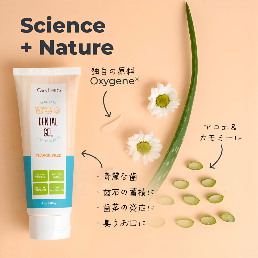 Oxyfresh オキシフレッシュ ペットデンタルジェル 113g
