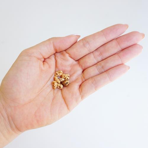 もち麦ポン太郎 20g(犬用おやつ 無添加 国産)