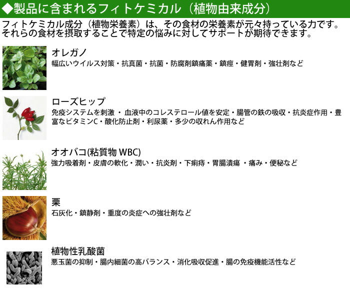 フォルツァ10 キャットフード アクティウェット インテスティナルアクティブ 100g×12個 胃腸のトラブル用食事療法食/無添加/アレルギー対応/猫用品/ねこ/ペット用品