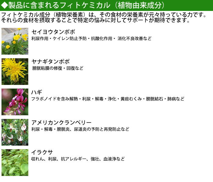 フォルツァ10 キャットフード アクティウェット ウリナリーアクティブ 100g 下部尿路疾患・ストルバイト結晶用食事療法食/無添加/アレルギー対応/猫用品/ねこ/ペット用品