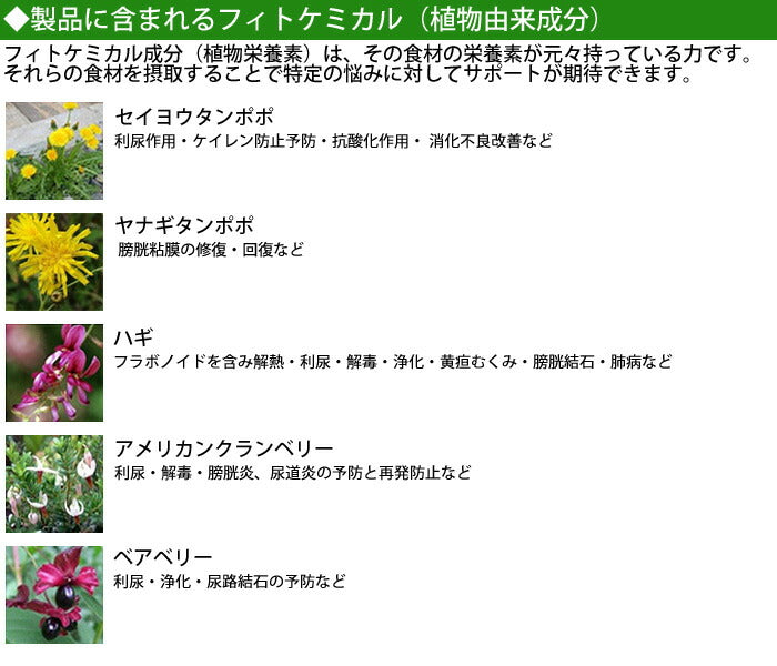 フォルツァ10 リナールアクティブ ドッグフード アクティウェット 100g×12個 腎臓のトラブル用食事療法食/無添加/アレルギー対応/ペット用品