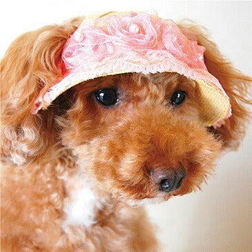 犬の帽子 麦わらハット(レース) 楽天BOX受取対象商品