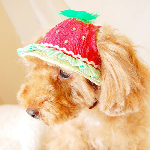 犬の帽子 すいかハット