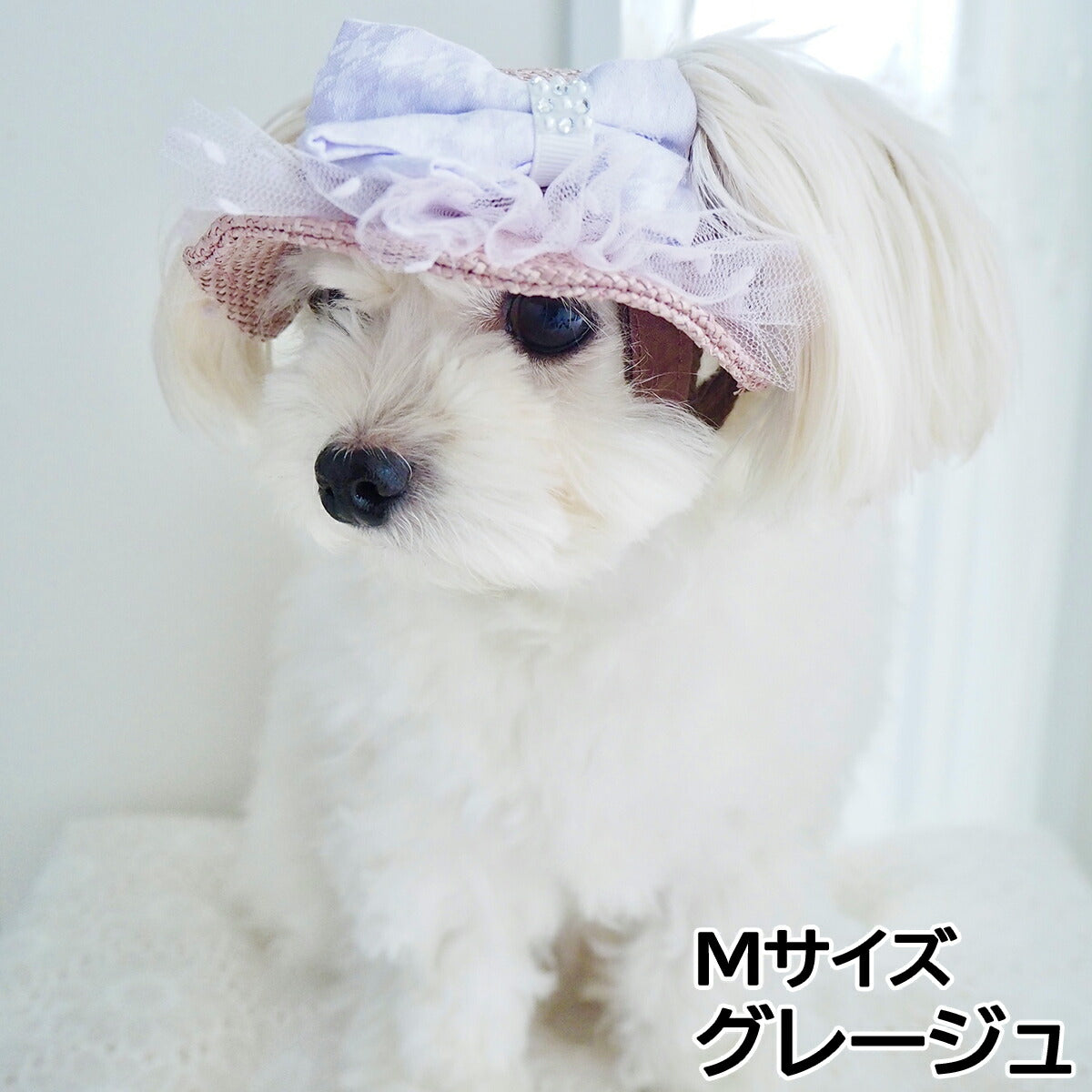 犬の帽子 ガーデンオブエデン りぼんチュールハット Mサイズ グレージュ